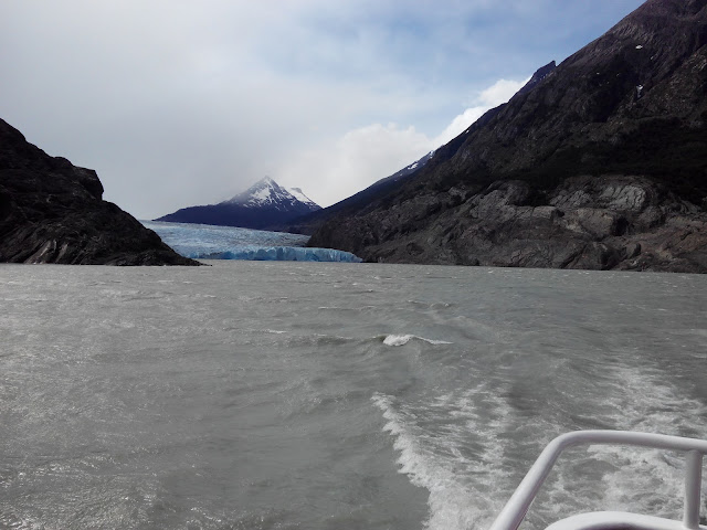 Glaciar Grey