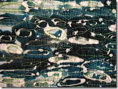 farneislandsdetail