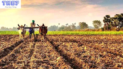 Farmer’s Day 23rd June किसान दिवस 23 दिसम्बर