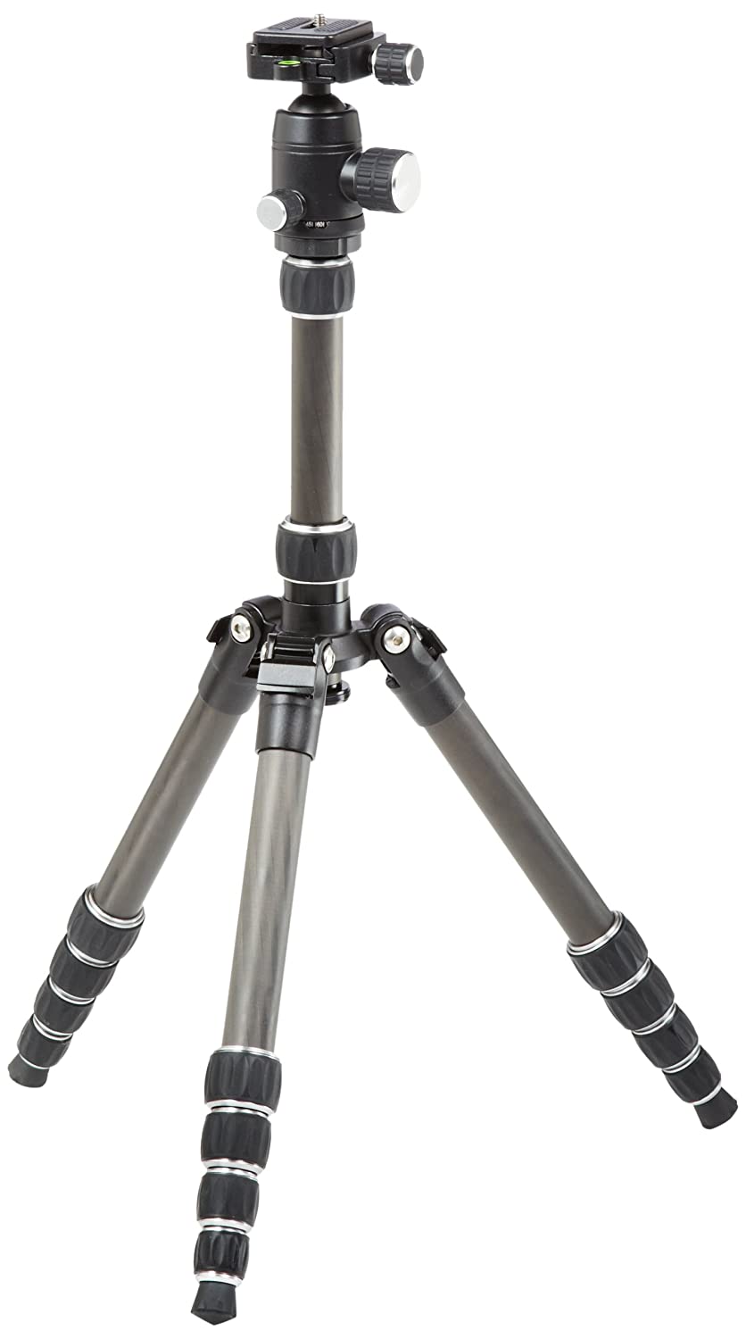 AmazonBasics 50-Inch Lightweight Tripod with Bag