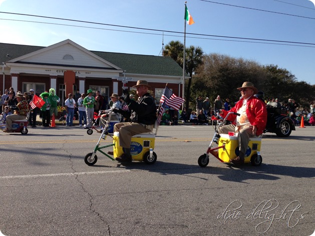 photo 1 (33)