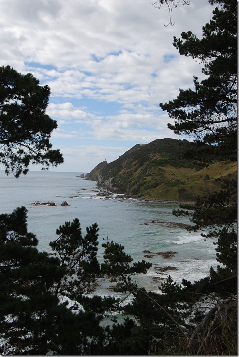 Road to Nugget Point (6)