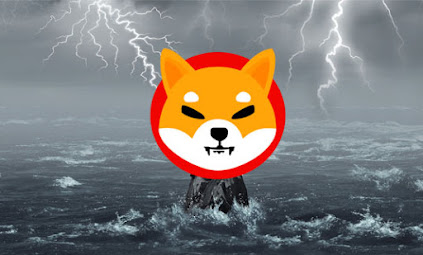 Why July 20 matters for Shiba Inu coin