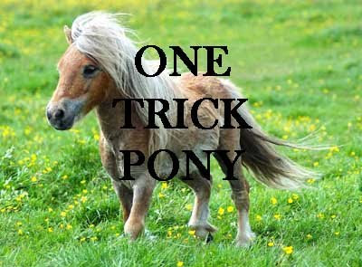 One Trick Pony