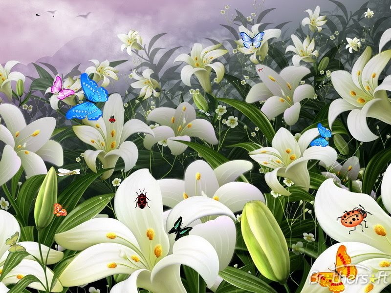 pictures of flowers and butterflies. flowers and butterflies