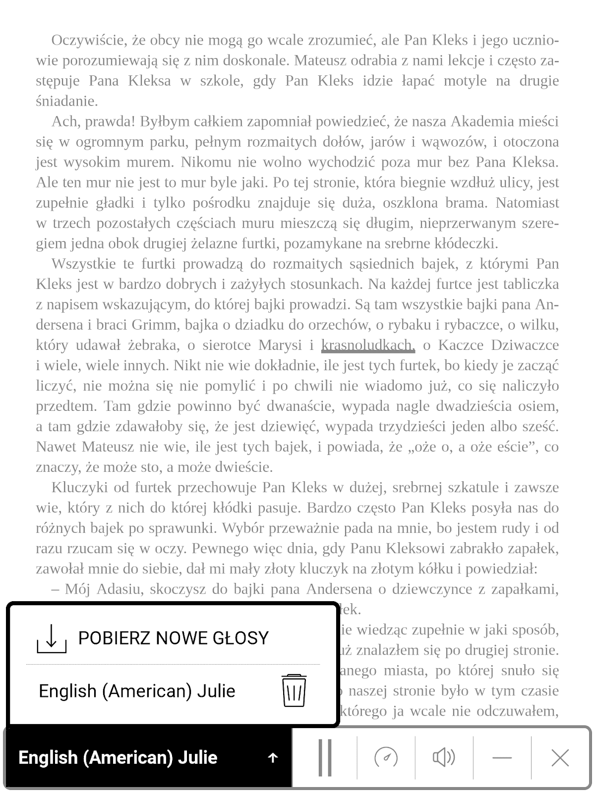 PocketBook InkPad 4 – menu wyboru i pobierania nowych głosów pasku usług TTS