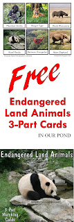 FREE 3-Part Cards for Safari Ltd Endangered Land Animals Toob