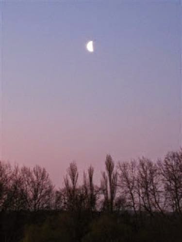 Last Quarter Moon Phase In Aquarius Sun Day