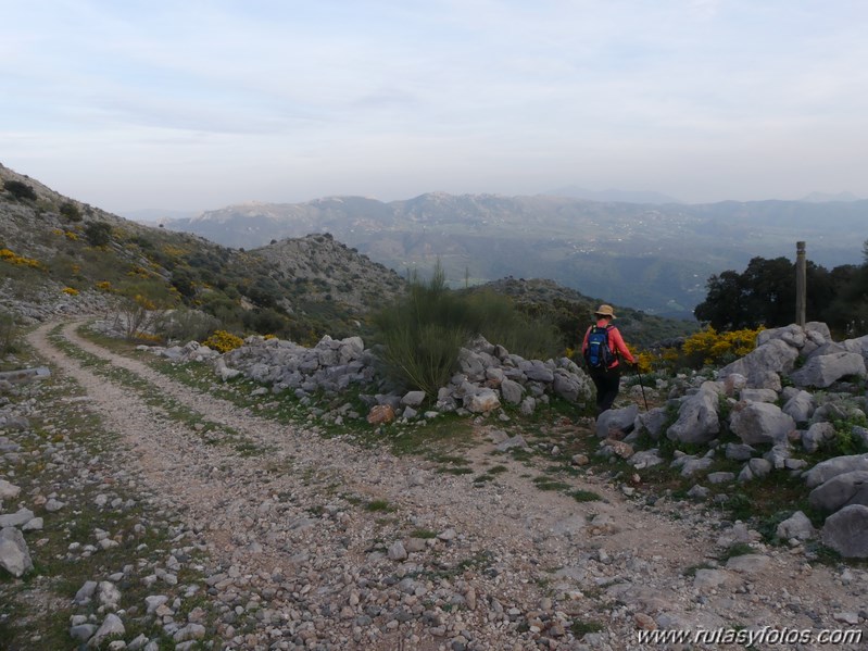 Montejaque - Ventana - Tunio - Palo - Martin Gil - Arenitas - Cortes de la Frontera