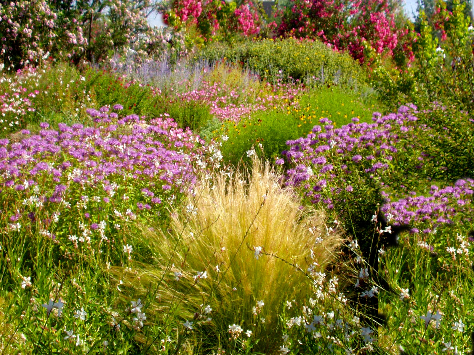 Landscape Materials Albuquerque