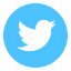 Twitter CDI Saint Saens