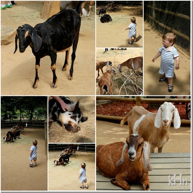 zoo5
