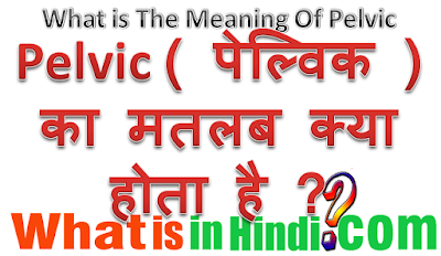 Pelvic का मतलब क्या होता है