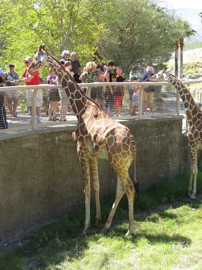 The Living Desert