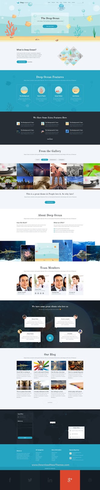 Single Page PSD Template 