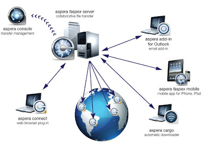 network operating system definition, network operating system certifications, network operating system examples