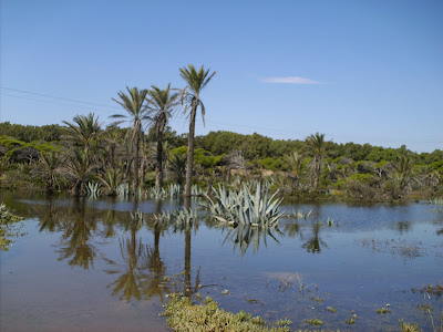 Guardamar reserve