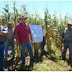 Pone en marcha parcela experimental de maíz blanco en la Meseta Purepecha