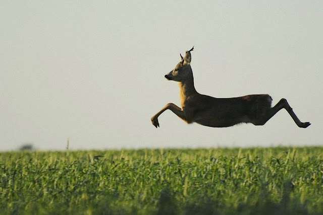 Fotografías tomadas en el momento justo