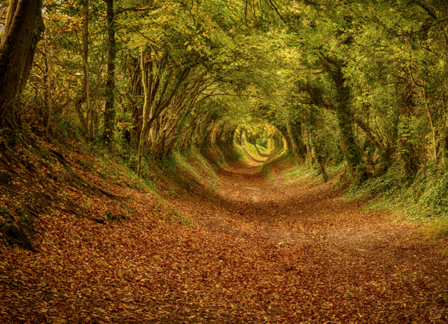 tunnels created by nature