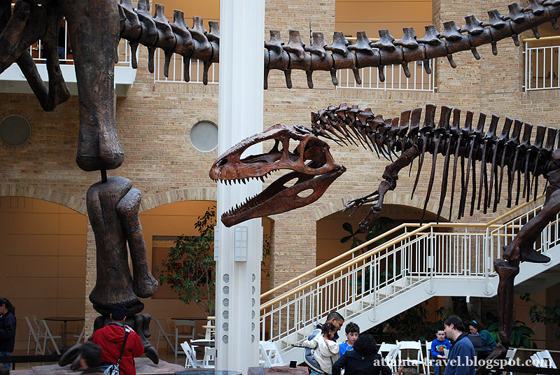 Fernbank Museum dinosaurs