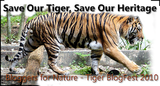 [tiger-blogfest2.png]