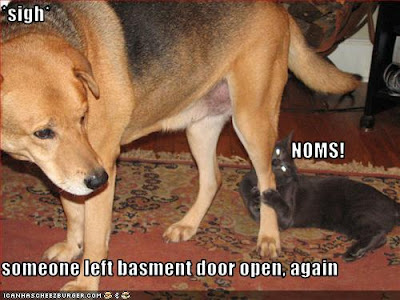 Funny animals with captions