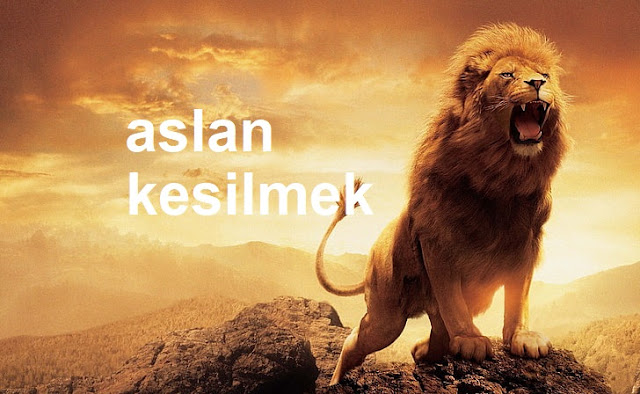 aslan kesilmek