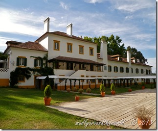 Herdade Agolada de Cima (11)