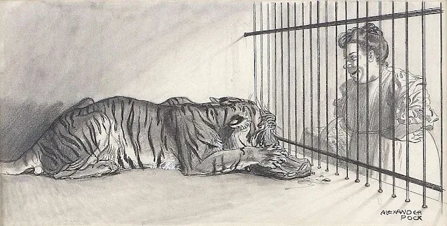 Aunt Jennifer's Tigers Questions and Answers