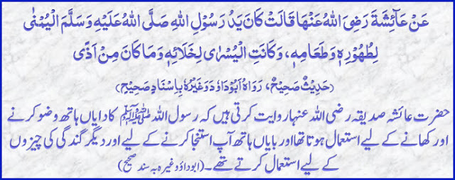 Daily Quran And Hadith