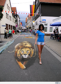 3D Street Illusions HD Wallpapers lion