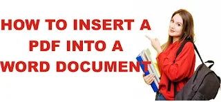How to Insert a PDF into a Word Document in Hindi