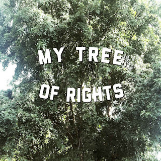 My Tree Of Rights Desperately Seeking Surnames