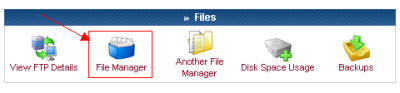 File Manager