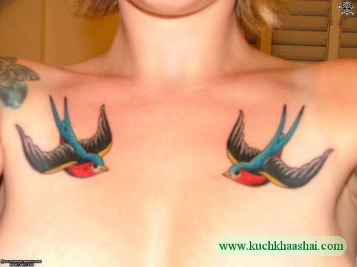 tattoo swallows. Swallow Tattoo Designs And