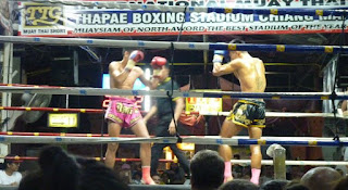 Thapae Boxing Stadium. Thai Boxing o Muay Thai.