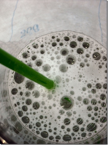 20100519_9
