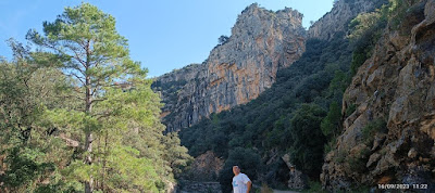 El Parque Natural de la Tenencia de Benifasar o Parc Natural de la Tinença de Benifassà.