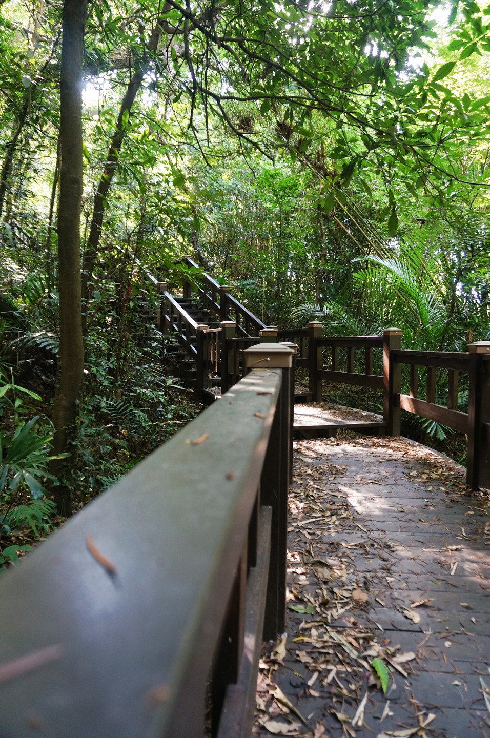 泰安登山步道