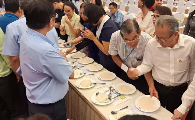 Gạo ST25 bị soán ngôi gạo ngon Việt Nam - Ảnh 4.