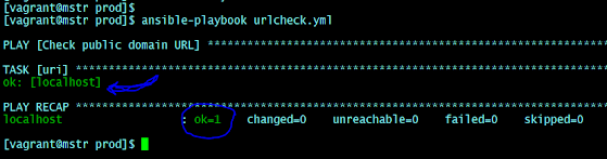 Ansible uri module with GET method