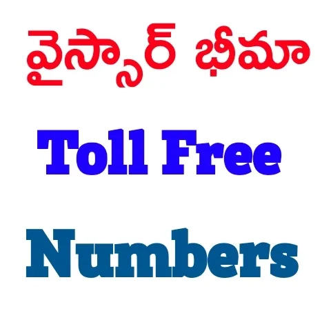 YSR Bima Scheme Toll Free Numbers