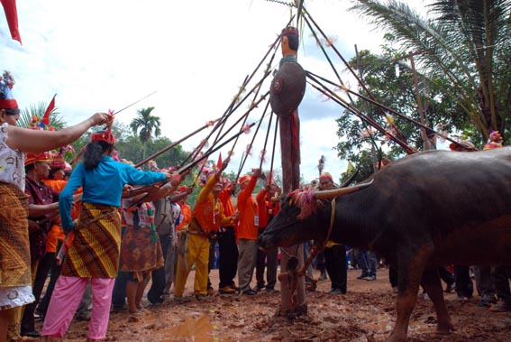 UPACARA TIWAH - Acara Adat Suku Dayak ~ Guzzty Blog Zine