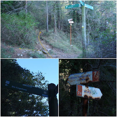 MOLA D'ESTATS - LES 3 CREUS - TAULA DELS QUATRE BATLLES, bifurcació al bosc entre La Bartra i Els Cogullons - PR-C-20 + GR-171