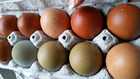 How to package farm eggs for sale
