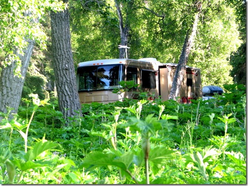 Discovery Camp Site-1