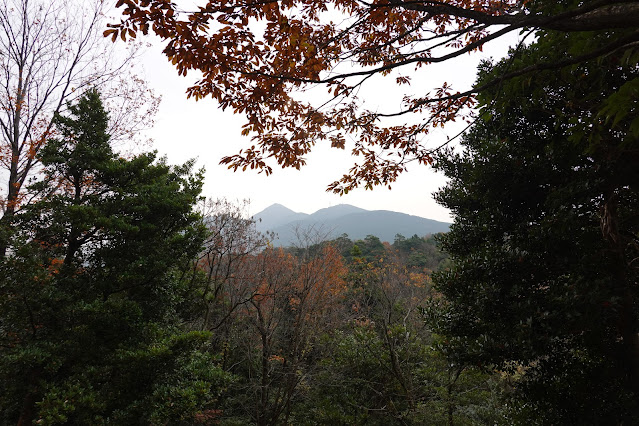 鳥取県西伯郡大山町富岡 むきばんだ史跡公園 弥生の森