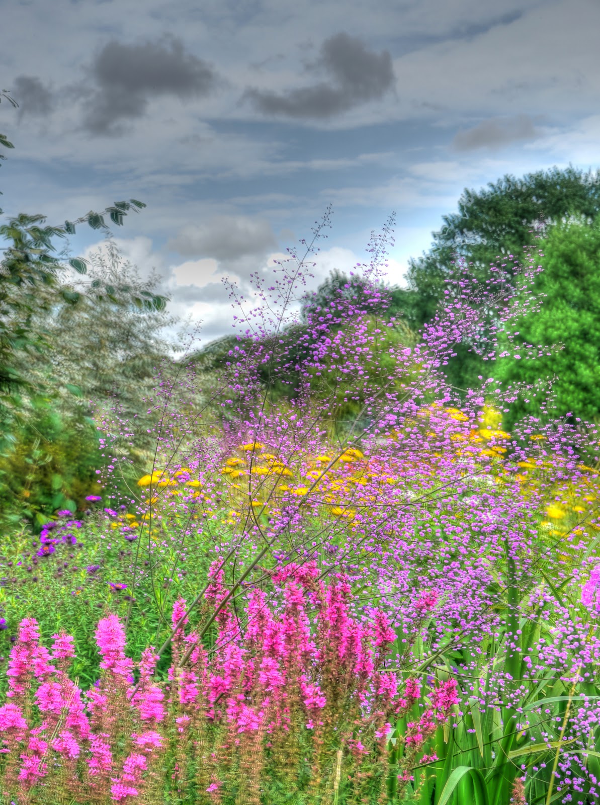 P1170068_6_7_tonemapped.JPG