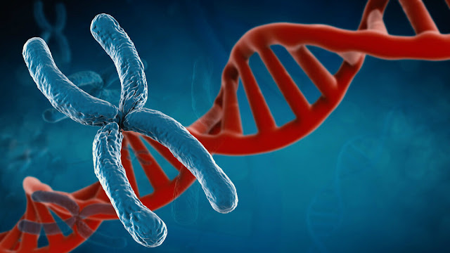 Molecular Cytogenetics